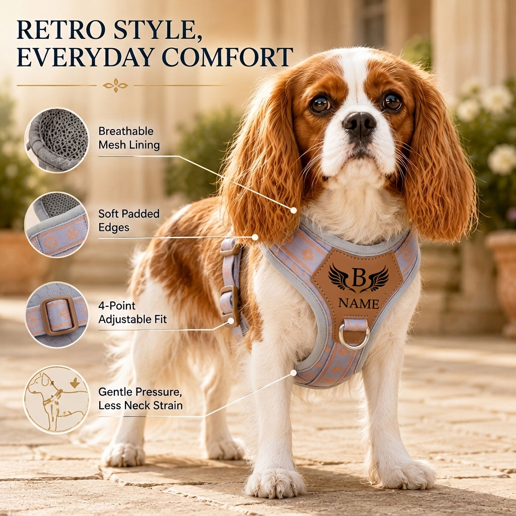Customizable Name/Text Dog Harness Vest - with Your Pet' Name, No-Pull Anti-Escape Breathable Harness Suitable for Small to Large Dogs, Wing Print Vest-Style Leash System, Hand Washable for Walks & Training
