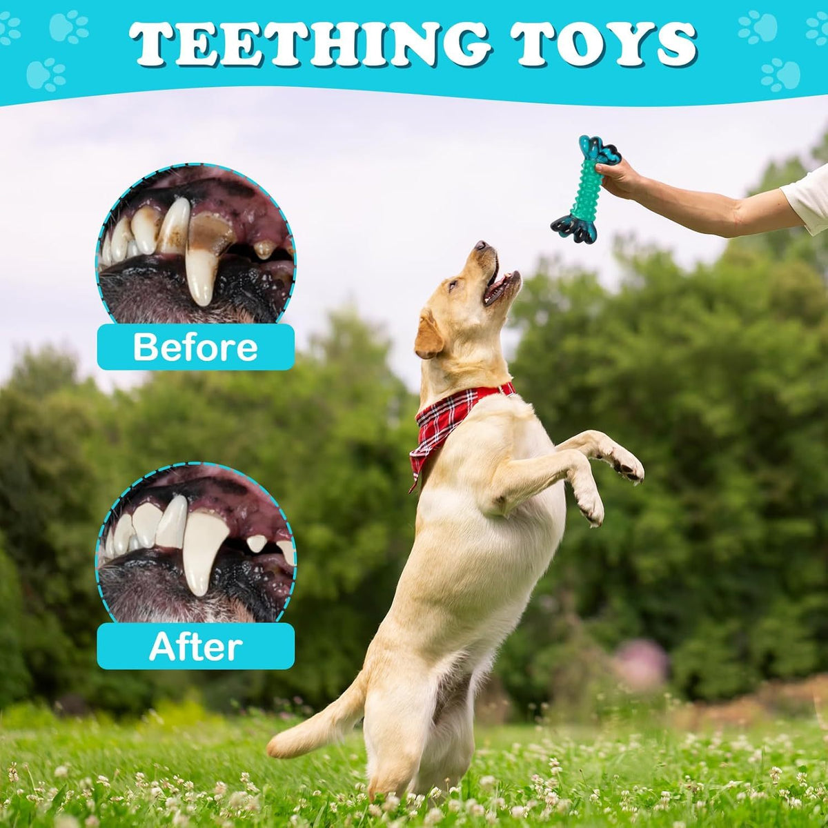 1pc/2pcs Dog Toys, Dog Chew Toys for Aggressive Chewers, Tough Dog Bones Chew Toys for Super Chewer, Nylon Durable Dog Toys for Medium Large Breed