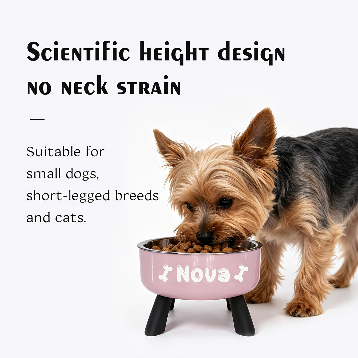 [Customized]Elevated Neck Protection Stainless Steel Pet Bowl Suitable for Small Dogs Anti Slip Feeding Bowl Custom Personalized Info with Various Patterns
