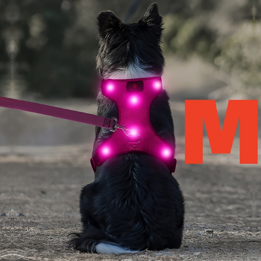 Light Up LED Dog Harness - No Pull LED Dog Harness with Detachable Battery - Rechargeable & Washable LED Dog Vest - Lighted Glowing Dog Walking & Camping Harness Suitable for Small Medium Large Dogs