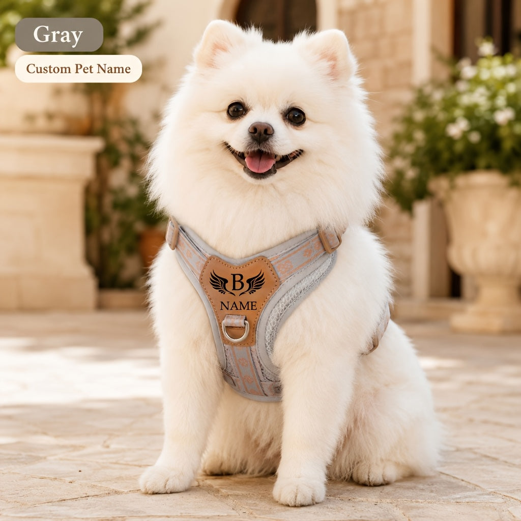 Customizable Name/Text Dog Harness Vest - with Your Pet' Name, No-Pull Anti-Escape Breathable Harness Suitable for Small to Large Dogs, Wing Print Vest-Style Leash System, Hand Washable for Walks & Training