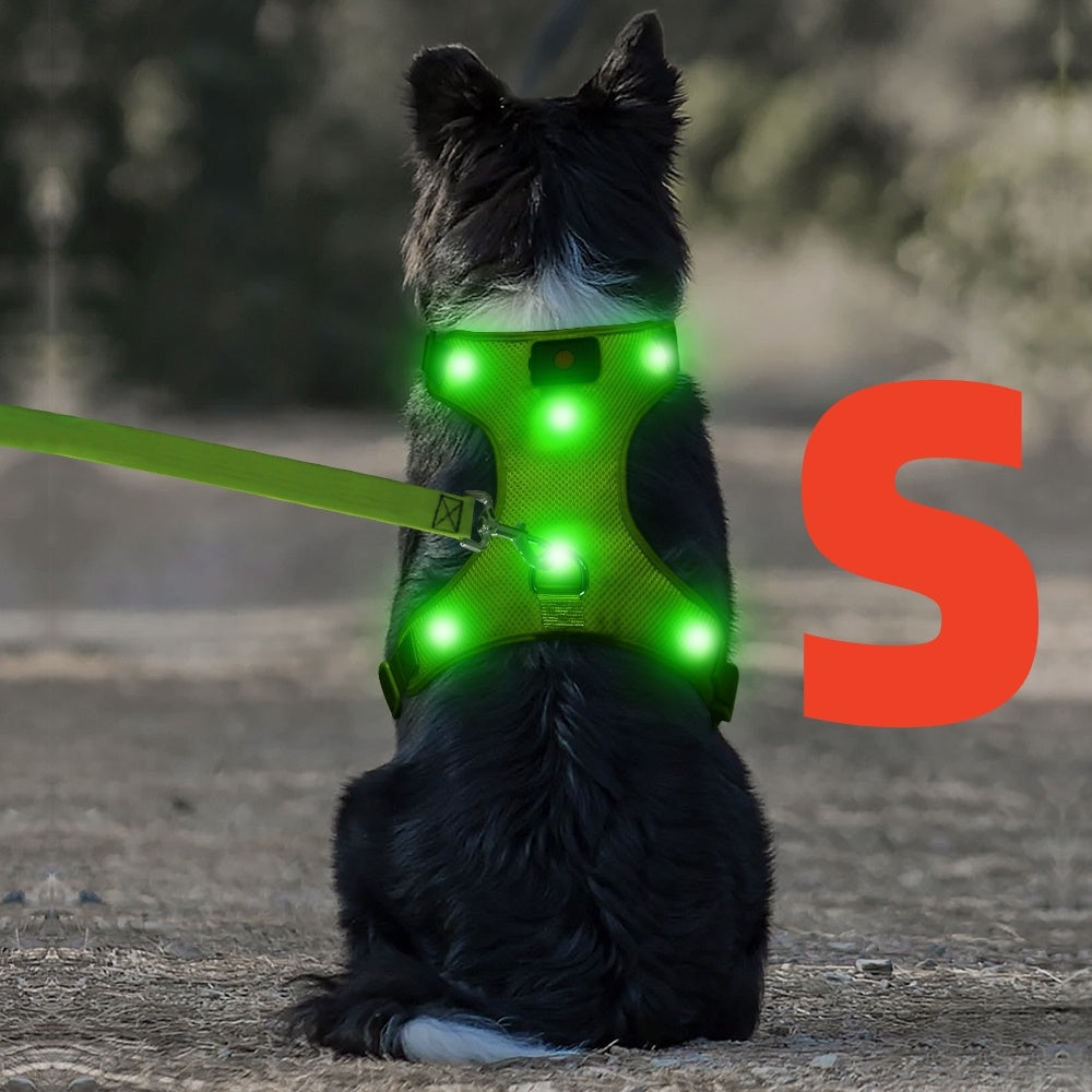 Light Up LED Dog Harness - No Pull LED Dog Harness with Detachable Battery - Rechargeable & Washable LED Dog Vest - Lighted Glowing Dog Walking & Camping Harness Suitable for Small Medium Large Dogs