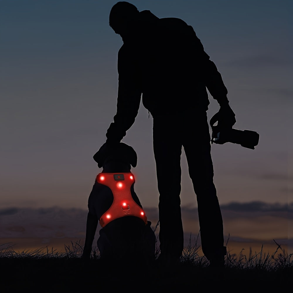 Light Up LED Dog Harness - No Pull LED Dog Harness with Detachable Battery - Rechargeable & Washable LED Dog Vest - Lighted Glowing Dog Walking & Camping Harness Suitable for Small Medium Large Dogs