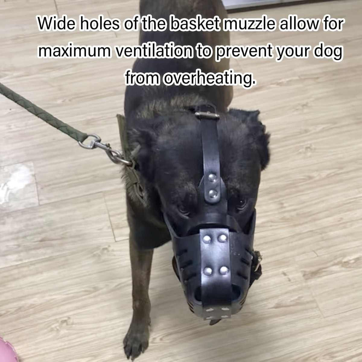 Kangdarpet | Faux Leather Dog Muzzle, Adjustable Neck, Comfortable And Breathable Design, Suitable for Bite Training of Medium to Large Dogs