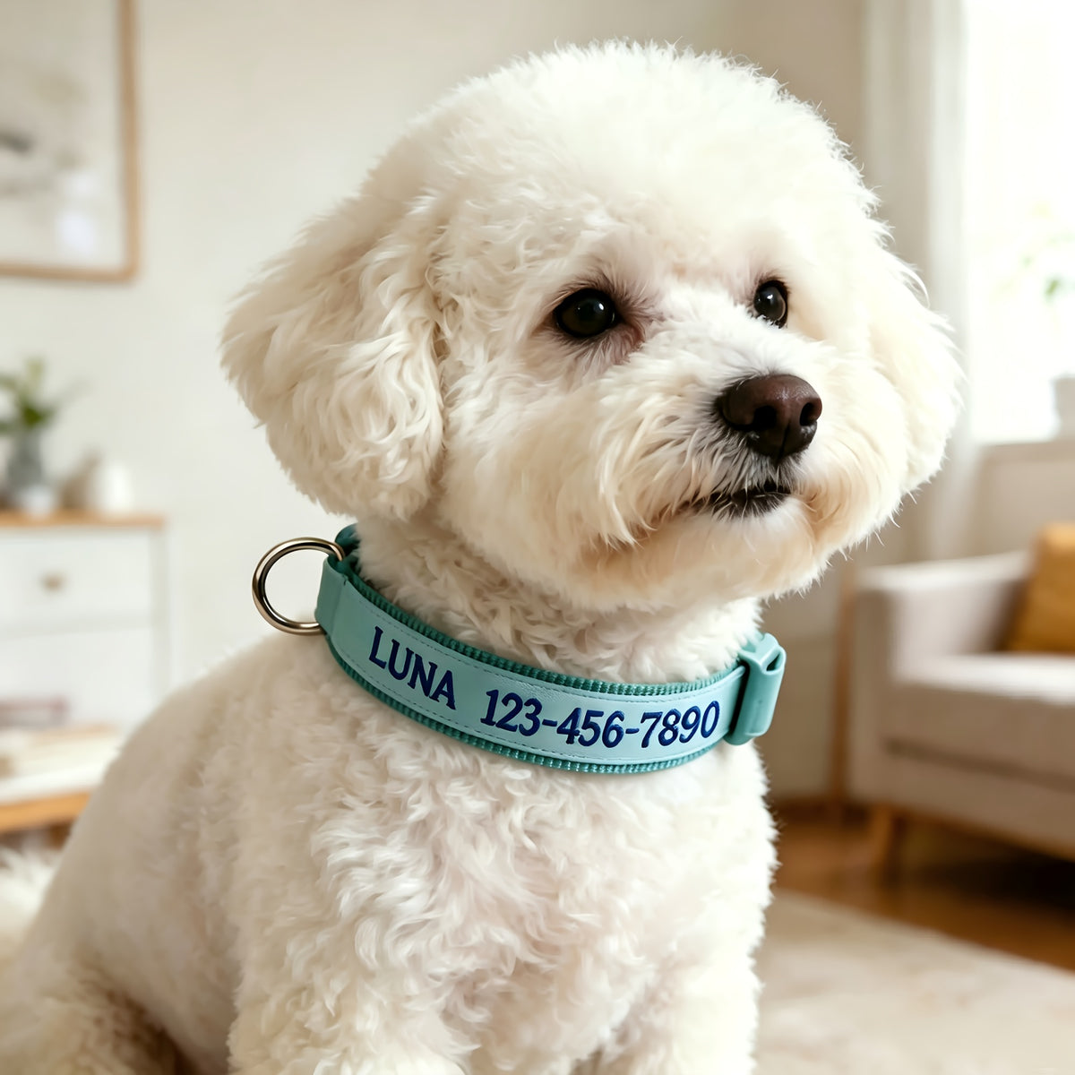 (Customized) New Luminous Dog Collar Upgraded Luminous Material Personalized Embroidered Name and Phone Number Anti-lost Four Sizes Five Colors for Small Dogs Medium-sized Dogs and Large Dogs Absorbs Light During the Day and Glows at Night