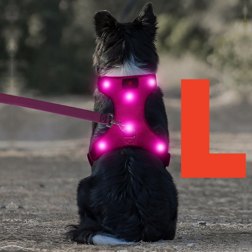 Light Up LED Dog Harness - No Pull LED Dog Harness with Detachable Battery - Rechargeable & Washable LED Dog Vest - Lighted Glowing Dog Walking & Camping Harness Suitable for Small Medium Large Dogs