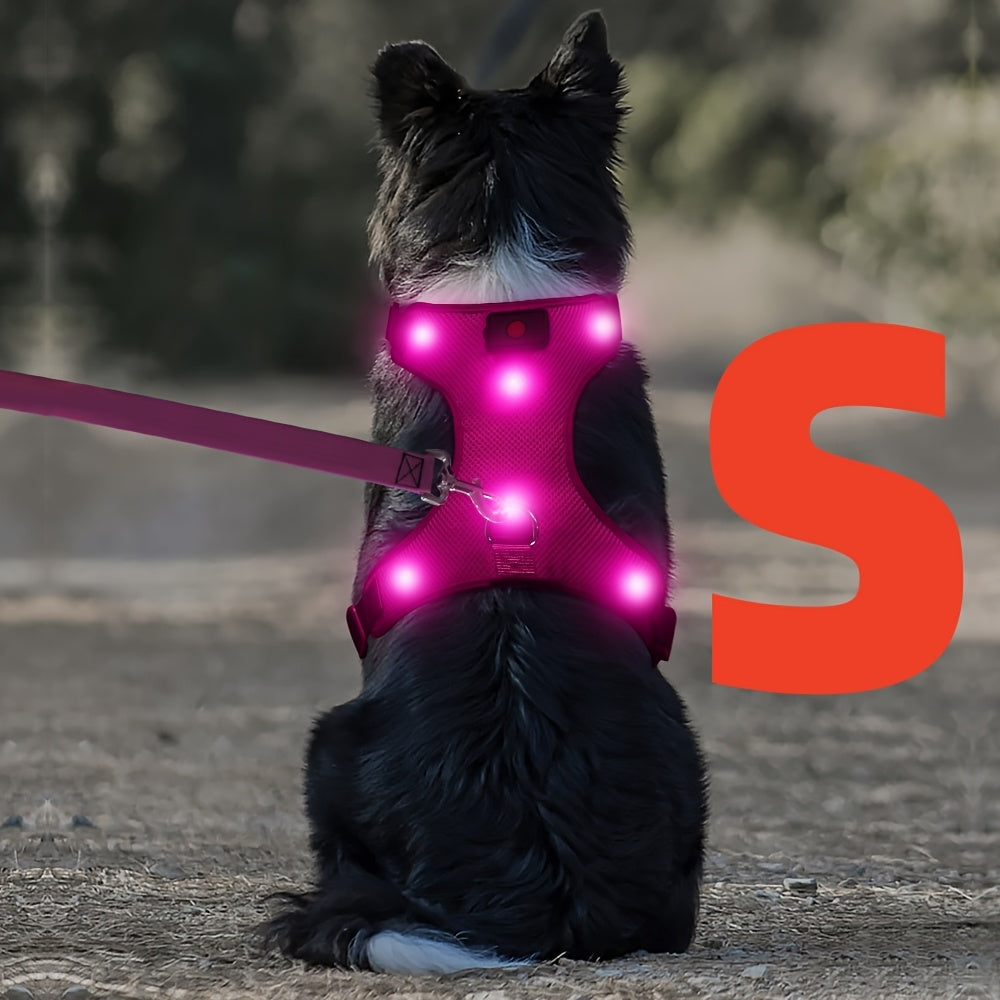 Light Up LED Dog Harness - No Pull LED Dog Harness with Detachable Battery - Rechargeable & Washable LED Dog Vest - Lighted Glowing Dog Walking & Camping Harness Suitable for Small Medium Large Dogs