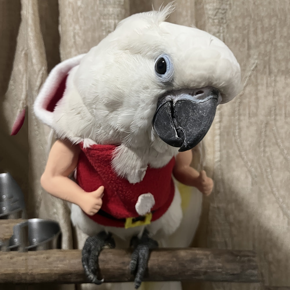 Enrichoice Funny Pet Arm Toy for Parrots, Chickens & Ducks - Perfect Gag Gift for Halloween & Christmas