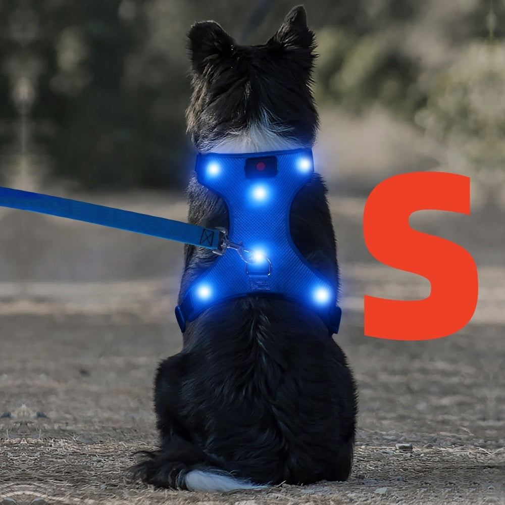 Light Up LED Dog Harness - No Pull LED Dog Harness with Detachable Battery - Rechargeable & Washable LED Dog Vest - Lighted Glowing Dog Walking & Camping Harness Suitable for Small Medium Large Dogs