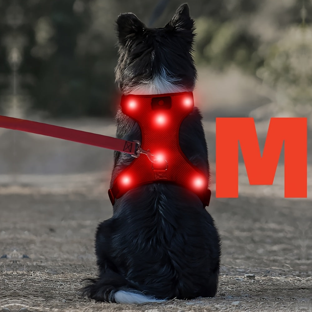Light Up LED Dog Harness - No Pull LED Dog Harness with Detachable Battery - Rechargeable & Washable LED Dog Vest - Lighted Glowing Dog Walking & Camping Harness Suitable for Small Medium Large Dogs