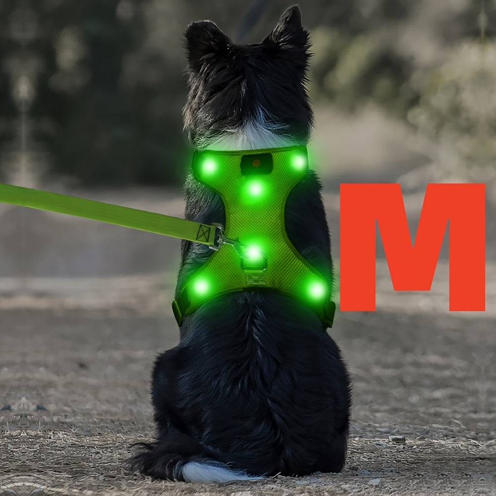 Light Up LED Dog Harness - No Pull LED Dog Harness with Detachable Battery - Rechargeable & Washable LED Dog Vest - Lighted Glowing Dog Walking & Camping Harness Suitable for Small Medium Large Dogs